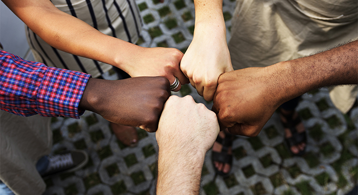 Diversity